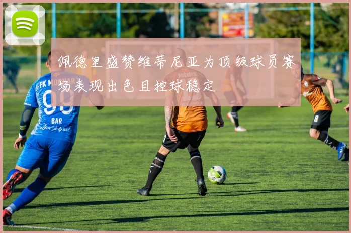 佩德里盛赞维蒂尼亚为顶级球员赛场表现出色且控球稳定