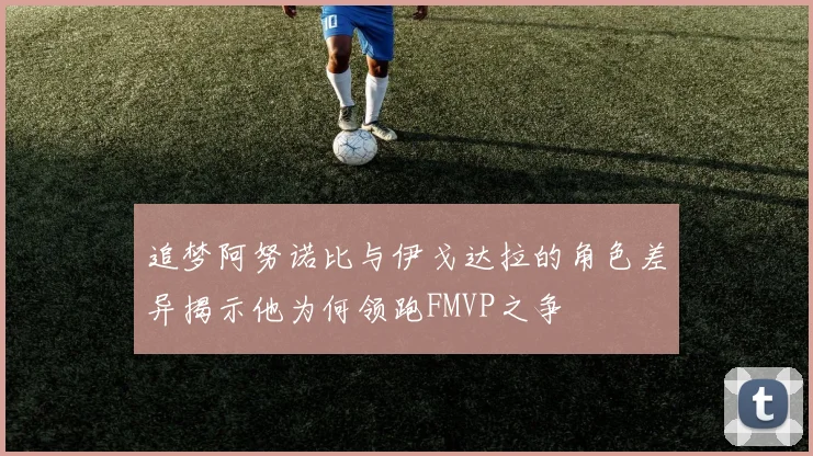 追梦阿努诺比与伊戈达拉的角色差异揭示他为何领跑FMVP之争